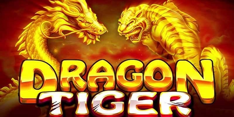 Chia sẻ 3 mẹo hay giúp bạn chơi Dragon Tiger thắng lớn
