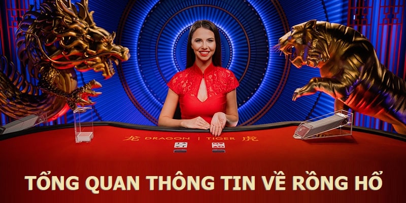 Tổng quan thông tin về Dragon Tiger